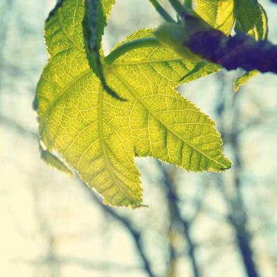 信息化节能数字化