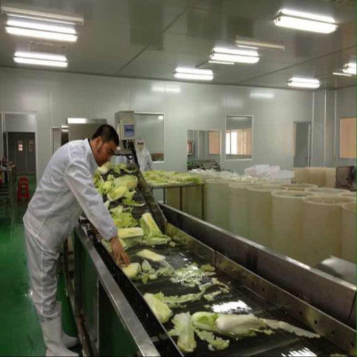 青岛高恩机械 专注食品机械制造，引领行业高效发展